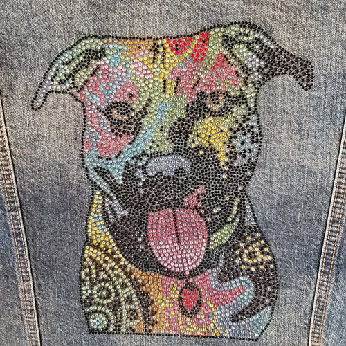 Pitbull Tie-Dye Rhinestone Jacket