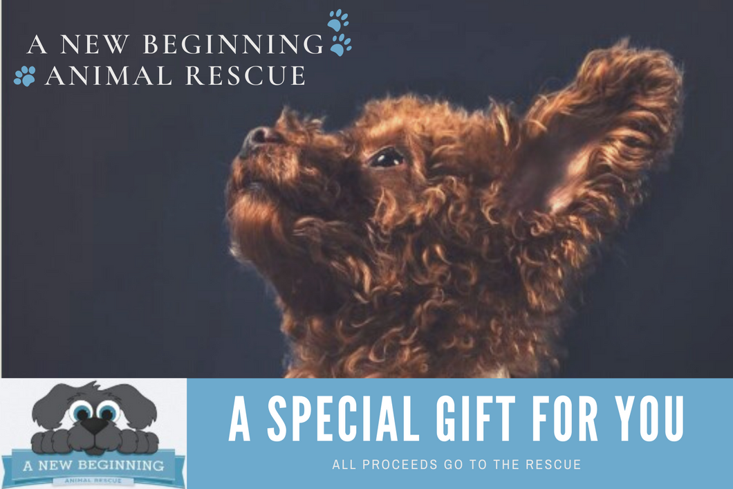 A New Beginning Animal Rescue Gift Card